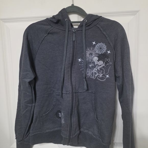 Disney Other - Gray Zip-Up Hoodie with Embroidered Design - DISNEYLAND